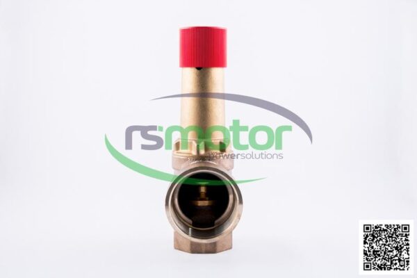 Safety Valve MWM RS-12403085 - Image 5