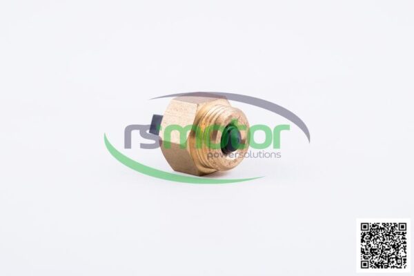 Purgador MWM RS-12409151 - Imagen 2