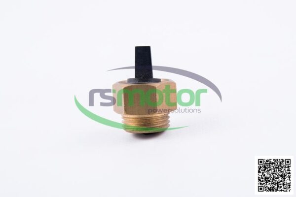 Purgador MWM RS-12409151 - Imagen 3