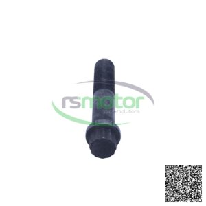 Tornillo/perno MWM RS-12420719 de color oscuro con cabeza hexagonal y rosca, sobre un fondo blanco con un logo verde.