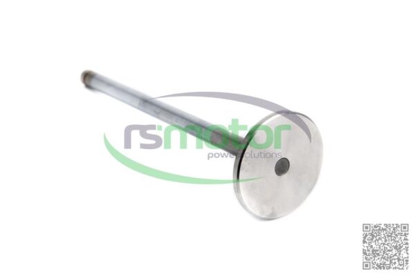 Válvula de Admision MWM RS-12420827 - Imagen 2