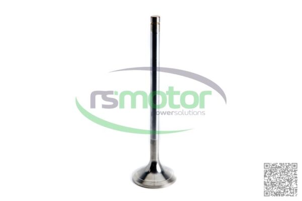 Válvula de Admision MWM RS-12420827 - Imagen 3