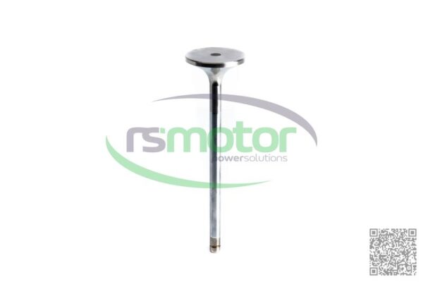 Válvula de Admision MWM RS-12420827 - Imagen 4