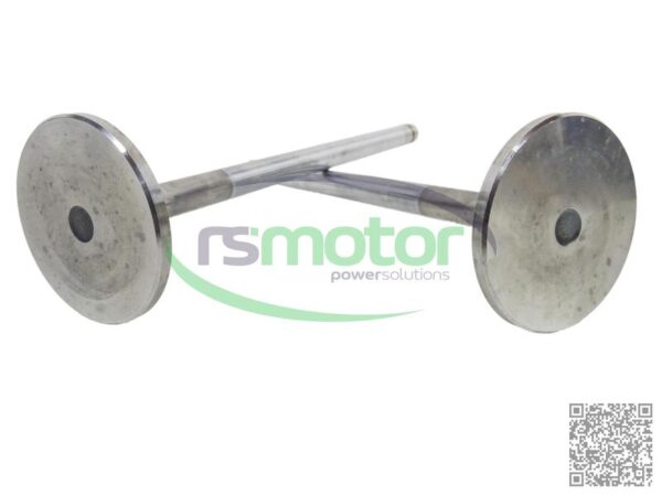 Válvula de Admision MWM RS-12420827 - Imagen 7