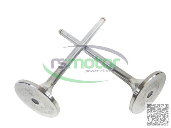 Válvula de Admision MWM RS-12420827 - Imagen 8