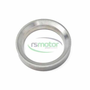Valve Seat Insert MWM RS-12420843
