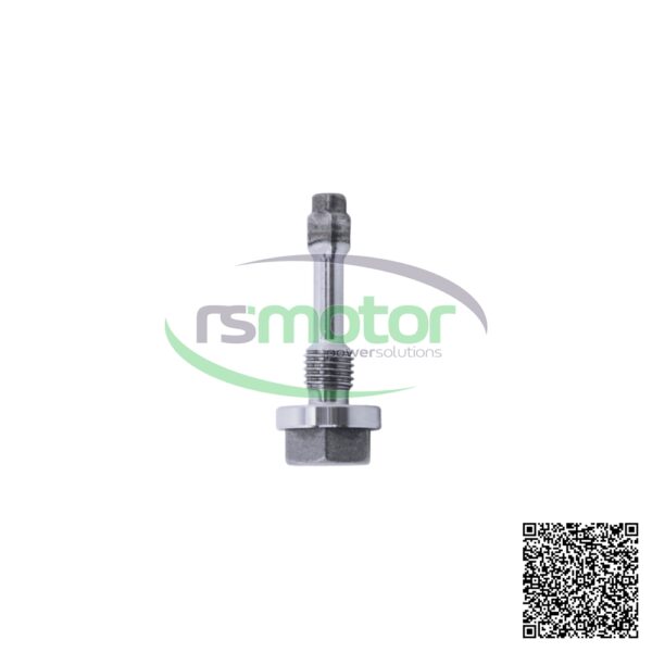 Set Screw MWM RS-12452118 - Image 5