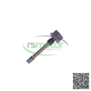 Tornillo de fijación MWM RS-12452119 con cabeza hexagonal y cuerpo roscado, sobre fondo blanco con el logo "rsmotor powersolu