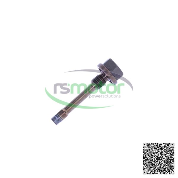 Tornillo de fijación MWM RS-12452119