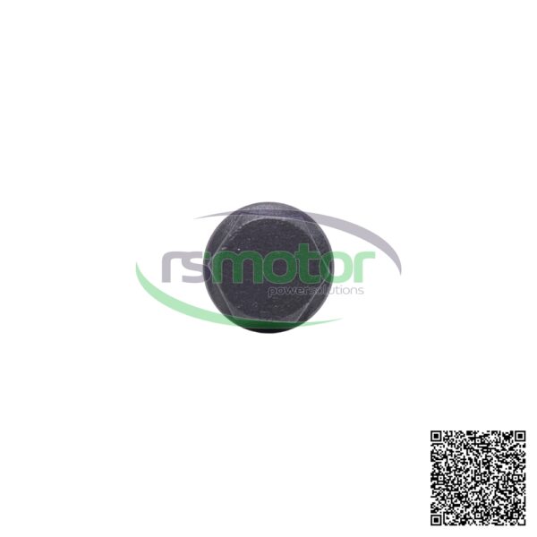 Tornillo de fijación MWM RS-12452119 - obrazek 4