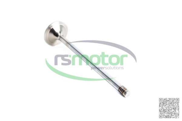 Válvula de escape MWM RS-12452424 - Imagen 2