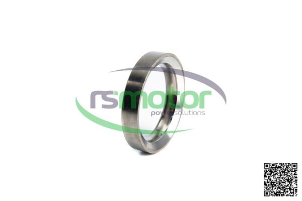 Asiento de Válvula MWM RS-12452845 - Imagen 5