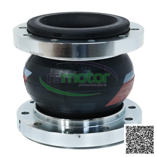 Junta de Expansión MWM RS-12453823 - Imagen 3