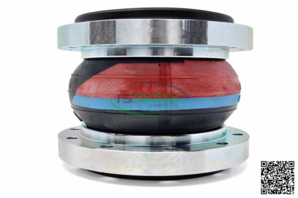 Junta de Expansión MWM RS-12453824 - Imagen 6