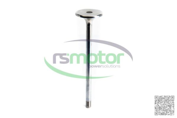 Exhaust Valve MWM RS-12454246 - Image 4
