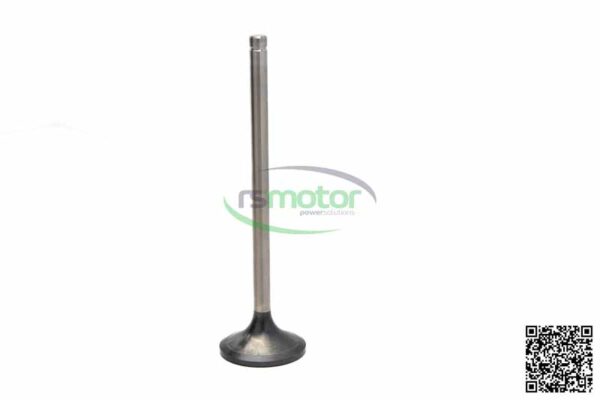 Inlet Valve MWM RS-12454247 - Image 5