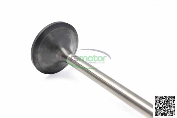 Inlet Valve MWM RS-12454247 - Image 3