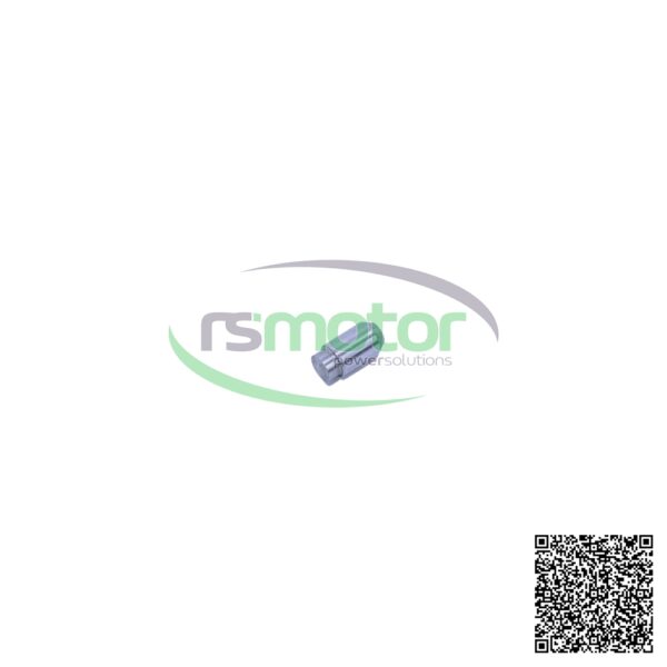 Pasador Cilíndrico MWM RS-12454524 - Imagen 2