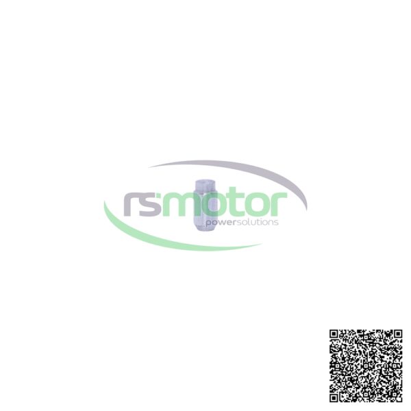 Pasador Cilíndrico MWM RS-12454524