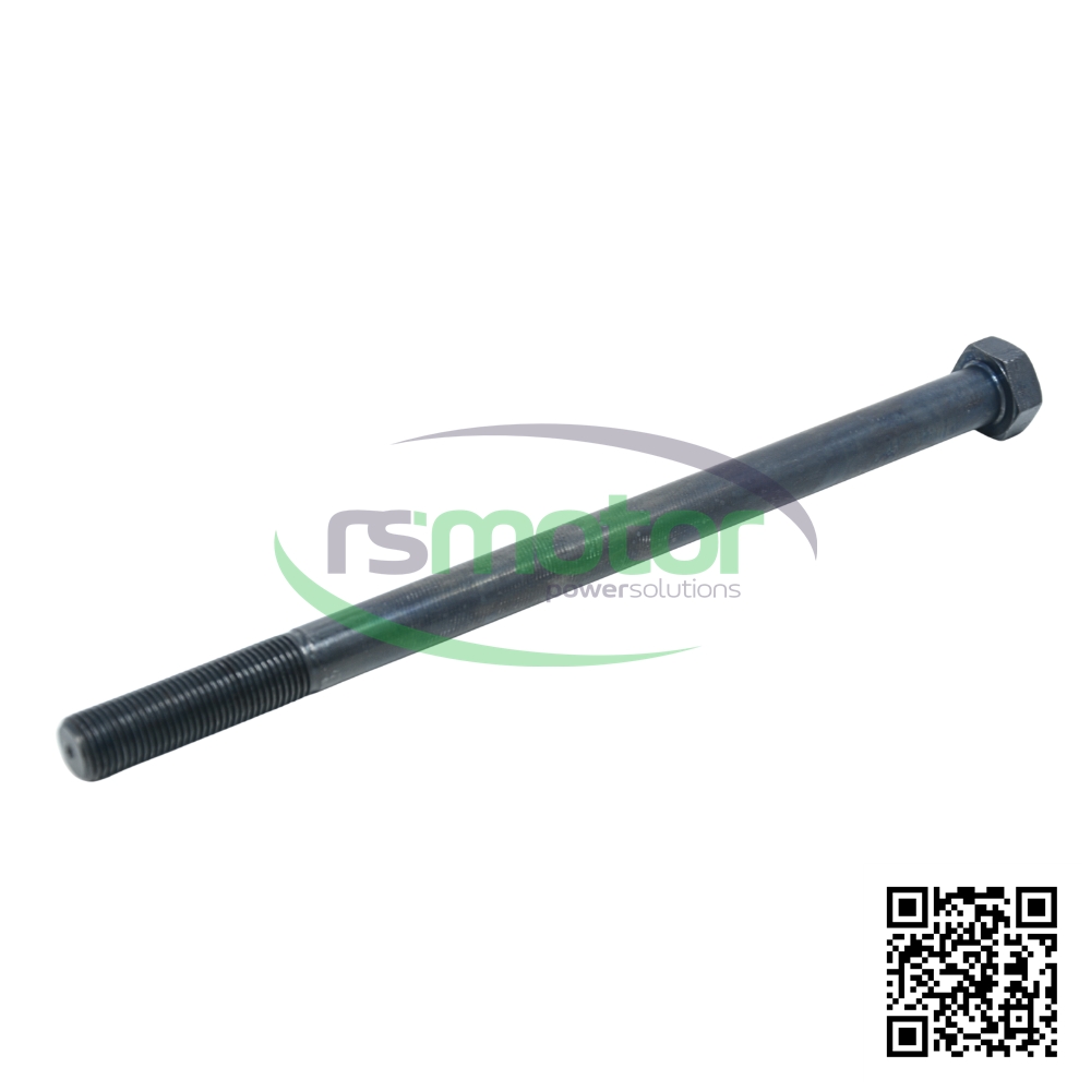 A MWM hexagonal bolt with reference RS12500332, black, on a white background with the "RS Motor" logo in the background and a QR