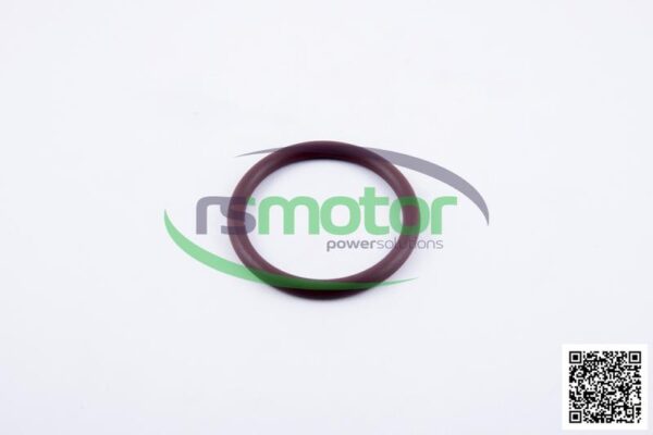 Round Sealing Ring MWM RS-12523253 - Image 2