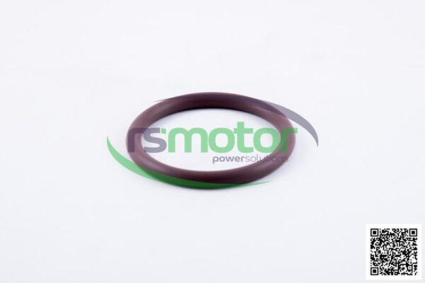 Round Sealing Ring MWM RS-12523253 - Image 3
