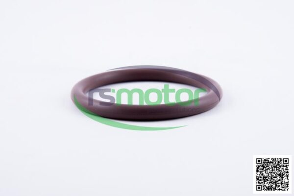 Round Sealing Ring MWM RS-12523253 - Image 4