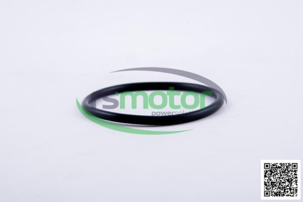Round Sealing Ring MWM RS-12523974 - Image 2