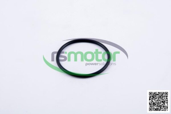 Round Sealing Ring MWM RS-12523974 - Image 6