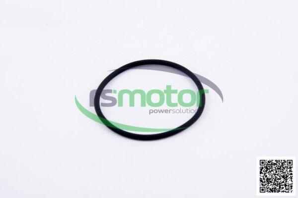 Round sealing ring MWM RS-12524023 - Image 2