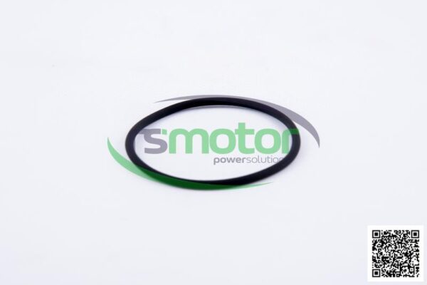 Round sealing ring MWM RS-12524023 - Image 3