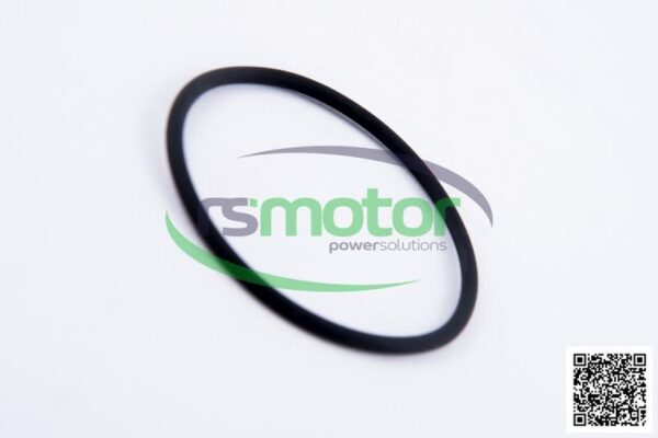 Round sealing ring MWM RS-12524023 - Image 5