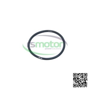 Junta MWM RS-12524042 sobre un fondo blanco con el logo de "RS Motor" y un código QR