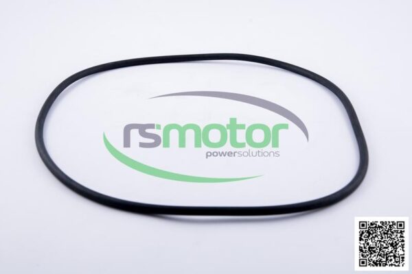 Round Sealing Ring MWM RS-12524104 - Image 2