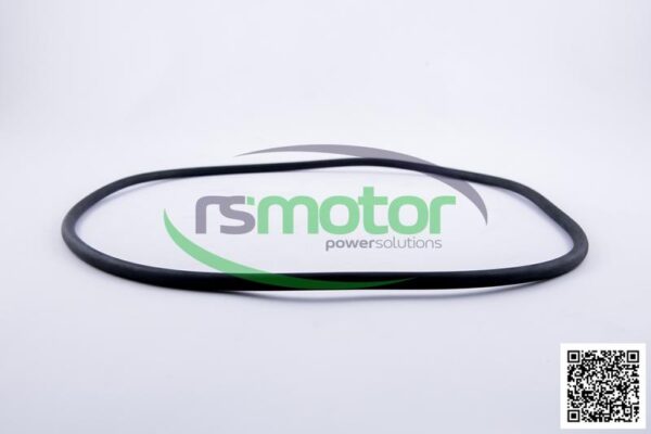 Round Sealing Ring MWM RS-12524104 - Image 3