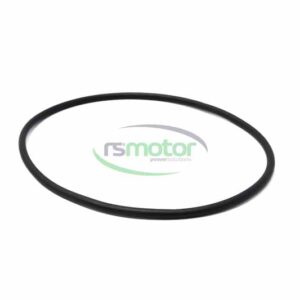 Round sealing ring MWM RS-12524115