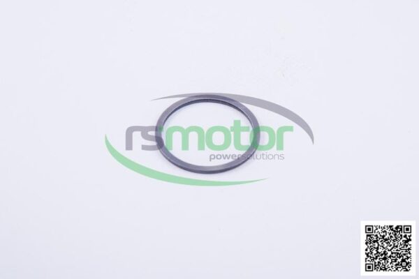 Sealing Ring Jenbacher RS-163034 - Image 2