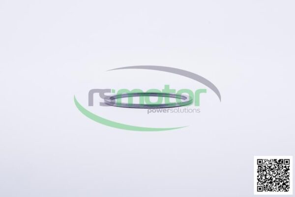 Sealing Ring Jenbacher RS-163034 - Image 4
