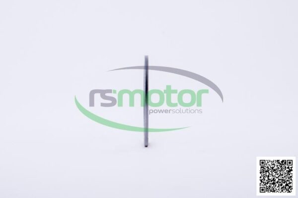 Sealing Ring Jenbacher RS-163034 - Image 6