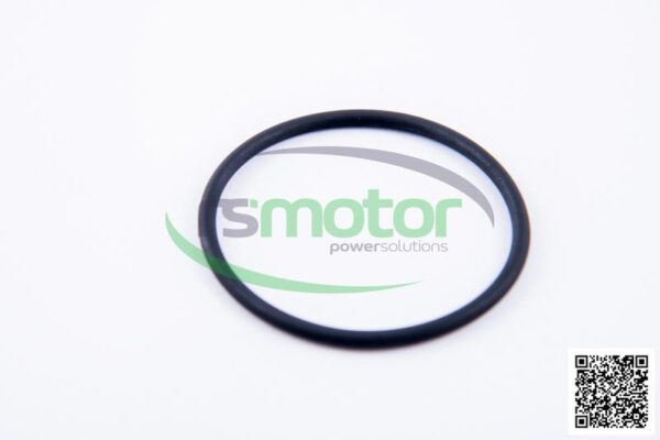 O-Ring Jenbacher RS-165120 - Image 4