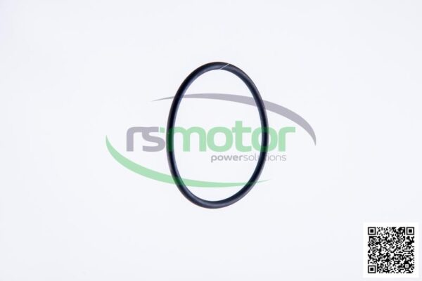 O-Ring Jenbacher RS-165120 - Image 5