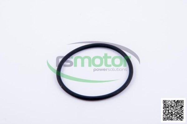 O-Ring Jenbacher RS-165120 - Image 6