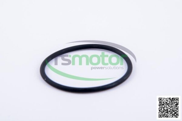 O-Ring Jenbacher RS-165120 - Image 7