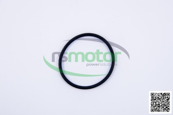 O-Ring Jenbacher RS-165120 - Image 9