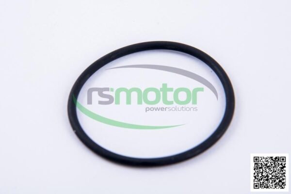 O-Ring Jenbacher RS-165120 - Image 10
