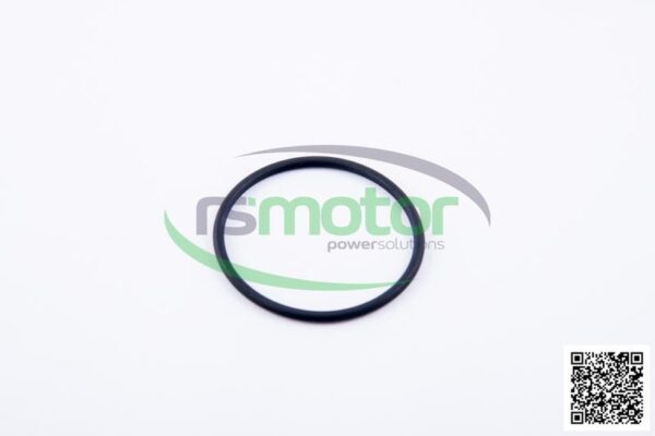 O-Ring Jenbacher RS-165120 - Image 12