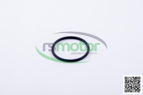O-Ring Jenbacher RS-174461 - Image 2
