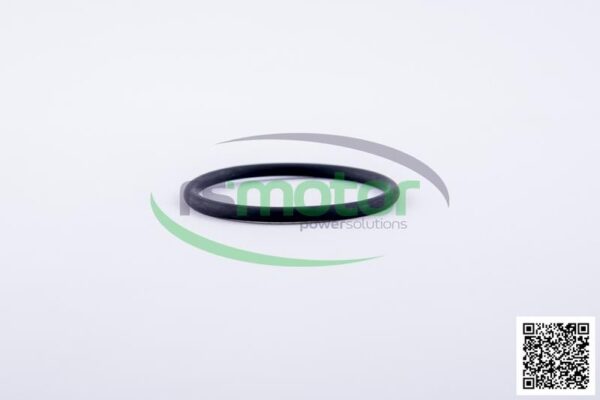 O-Ring Jenbacher RS-174461 - Image 4