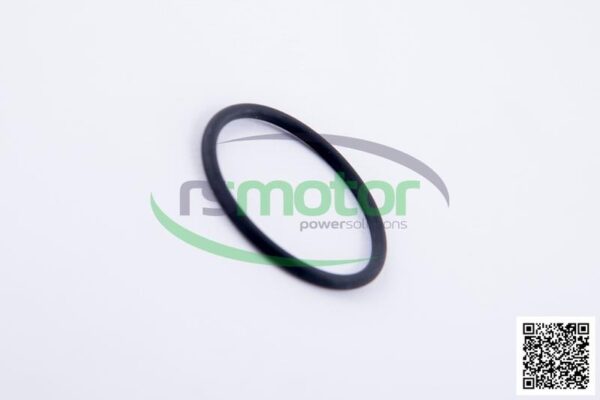 O-Ring Jenbacher RS-174461 - Image 5