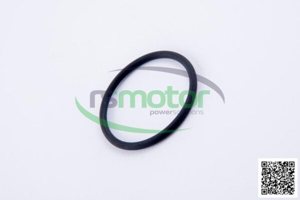 O-Ring Jenbacher RS-174461 - Image 6